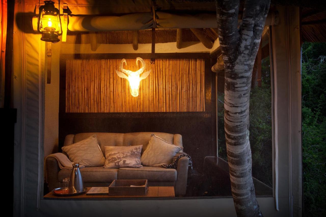 Safari Lodge - Amakhala Game Reserve Εξωτερικό φωτογραφία