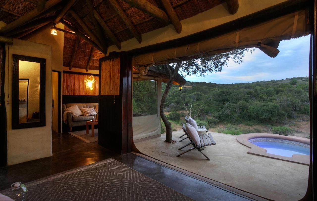 Safari Lodge - Amakhala Game Reserve Εξωτερικό φωτογραφία