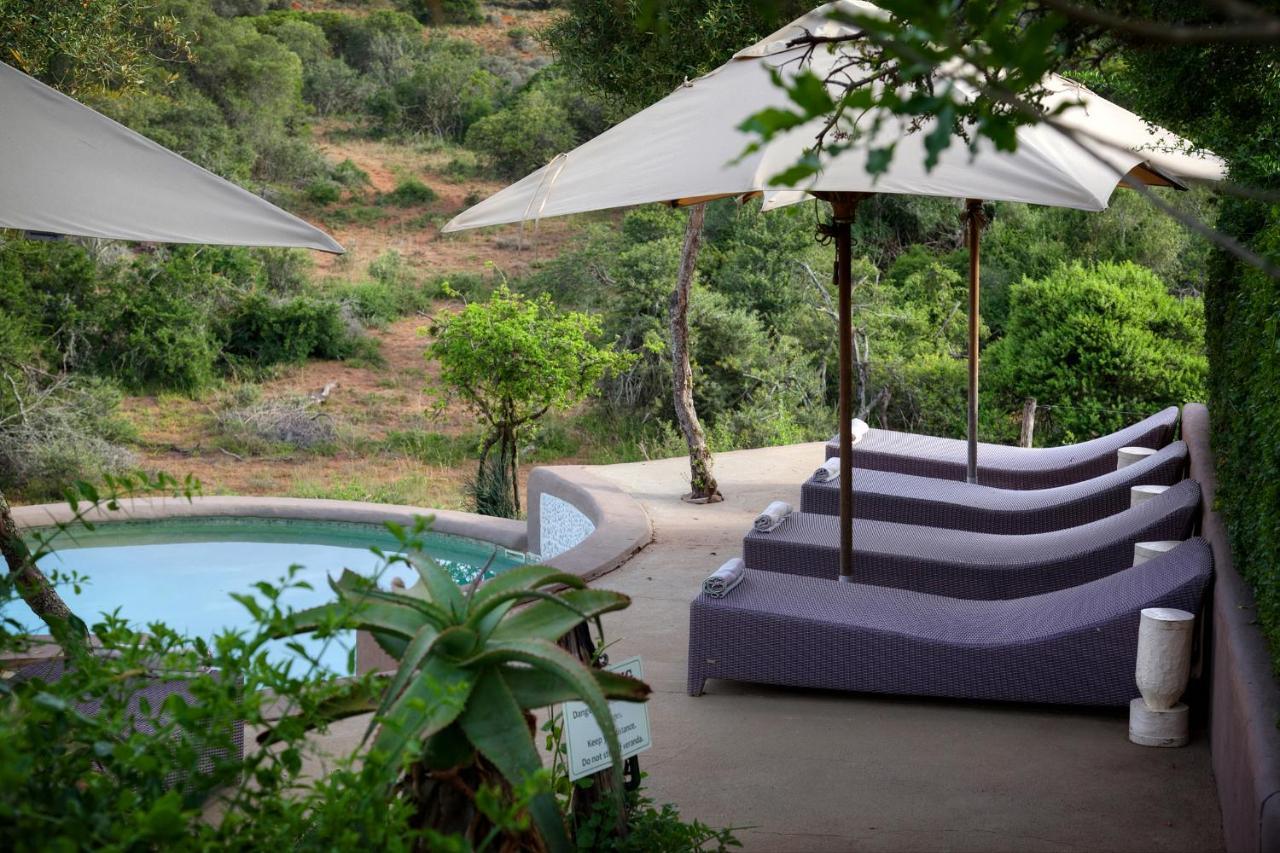 Safari Lodge - Amakhala Game Reserve Εξωτερικό φωτογραφία