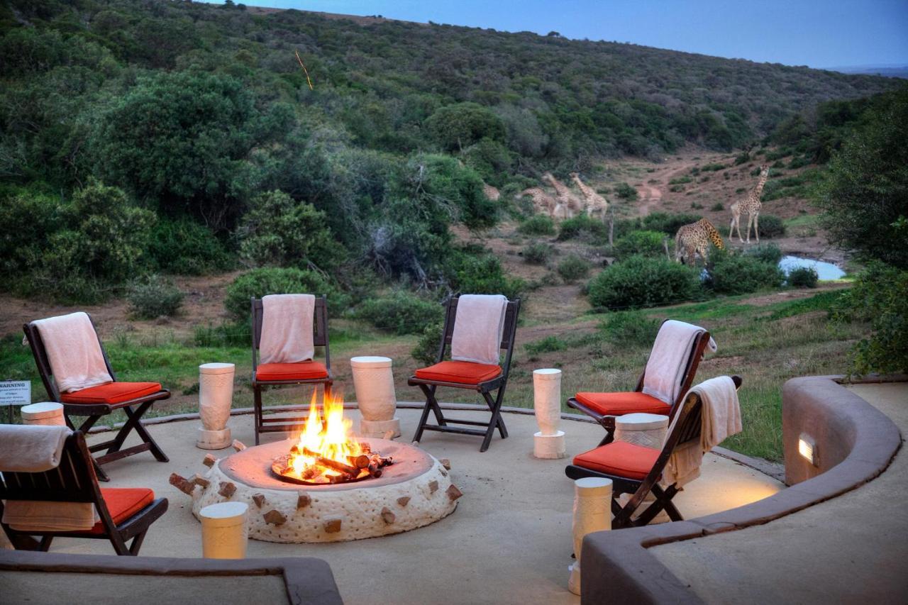 Safari Lodge - Amakhala Game Reserve Εξωτερικό φωτογραφία