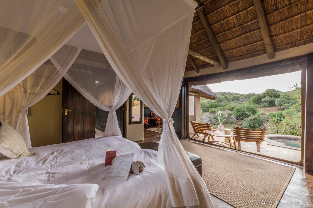 Safari Lodge - Amakhala Game Reserve Εξωτερικό φωτογραφία